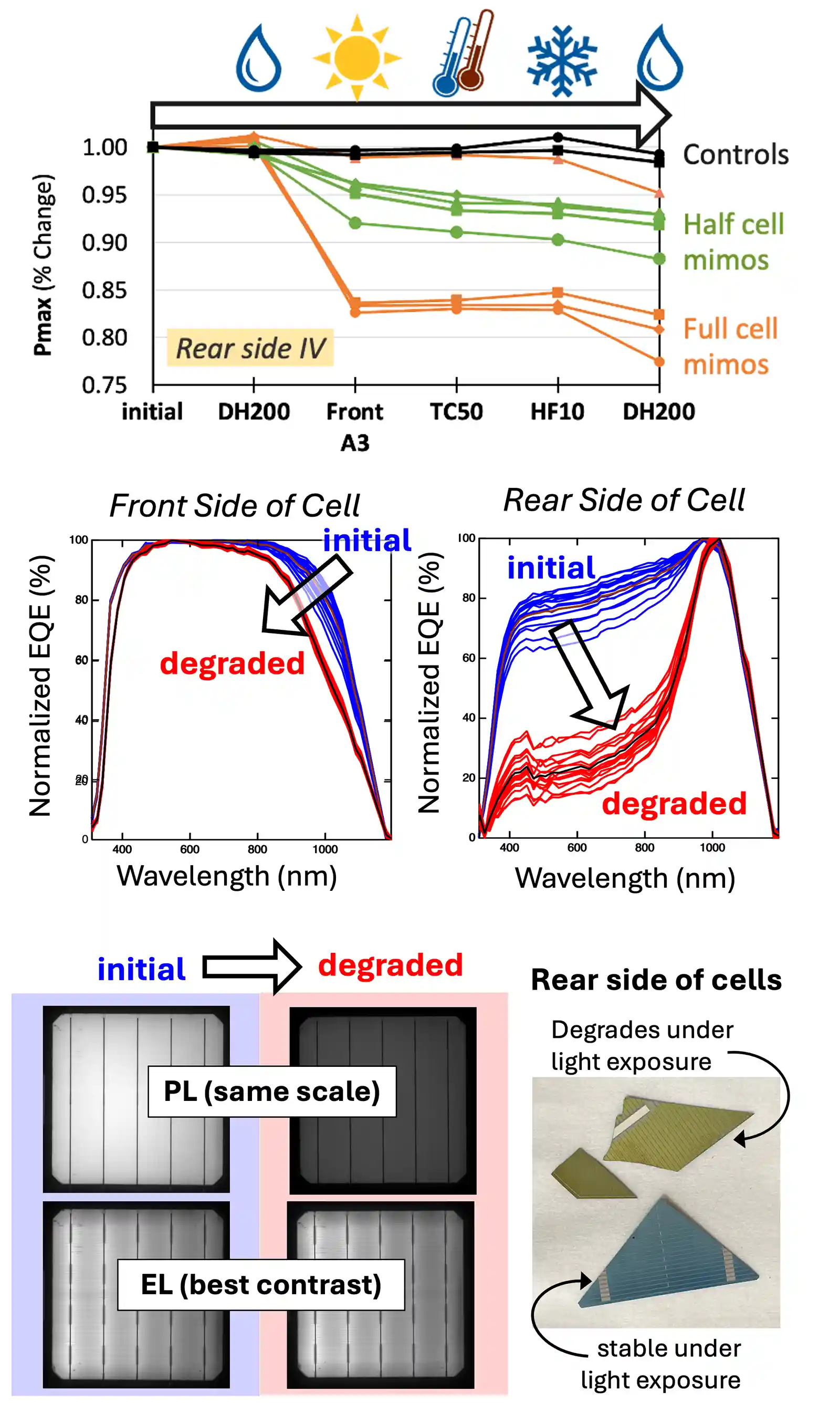 b3c-kern-gg Line chart showing results for controls, half cell mimos, full cell mimos. Charts showing degradation results for the front side and rear sides of cell. Initial to degraded: PL (same scale), EL (best contrast). Rear side of cells degrades under light exposure, stable under light exposure.